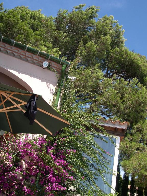 Mas Du Soleilla Guest House Narbonne Eksteriør bilde